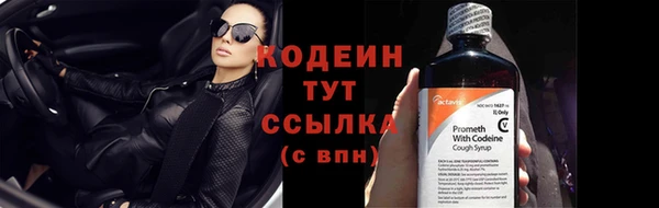 дмт Осташков